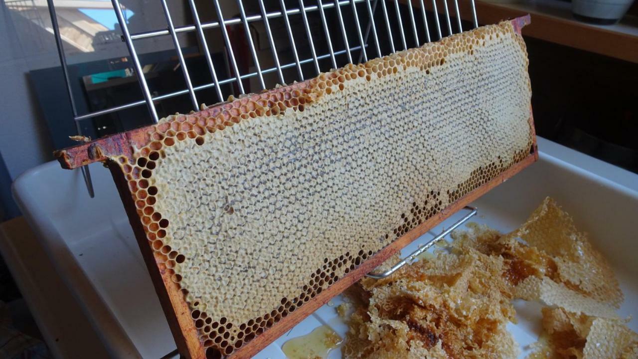 Huppaye La Miellerie 게스트하우스 외부 사진
